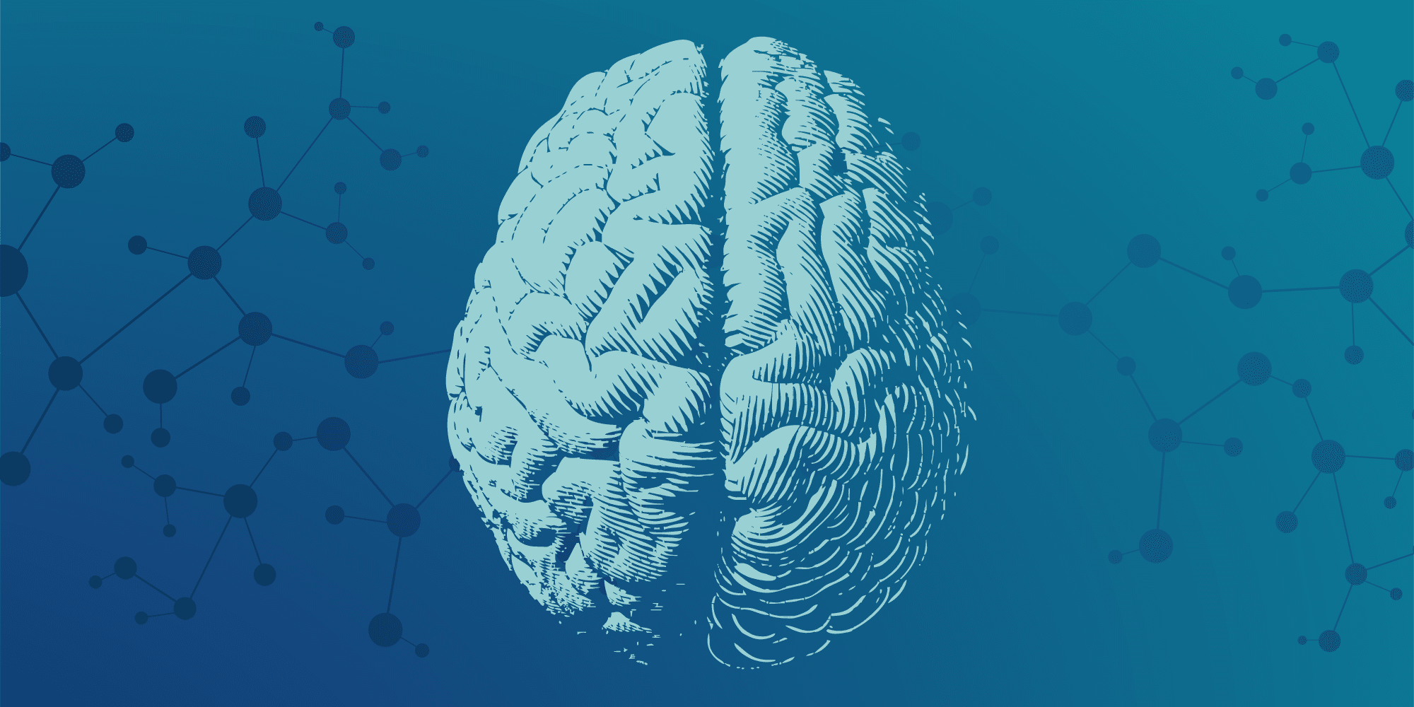 A brain image designed with the science of infographic design, set against a blue background.