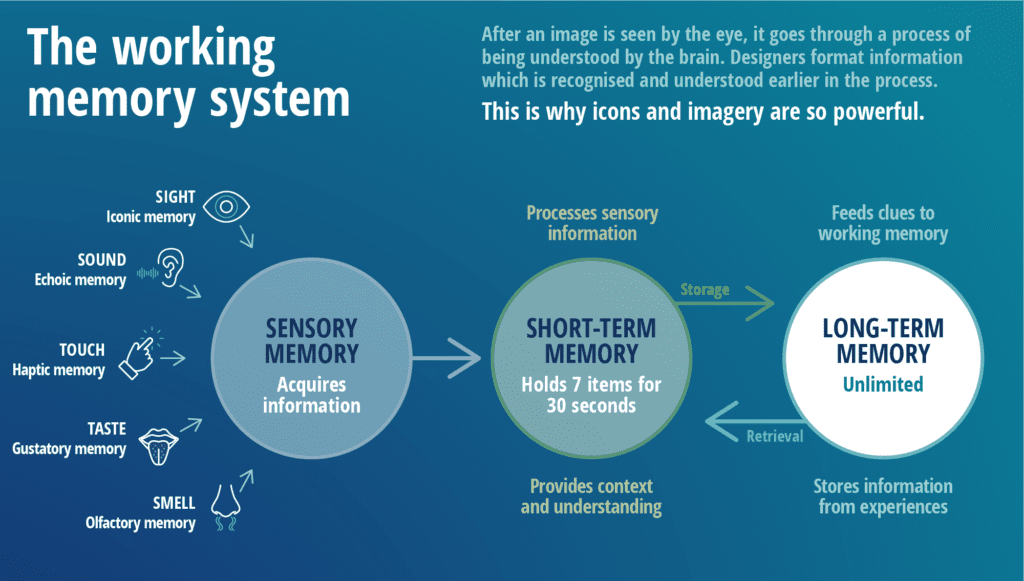 The science of designing infographics for working memory.